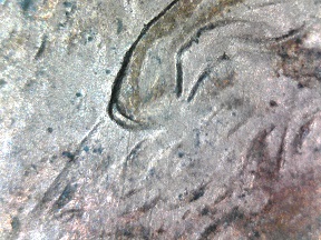 1995-D-Lincoln-Cent-Double-Earlobe-?